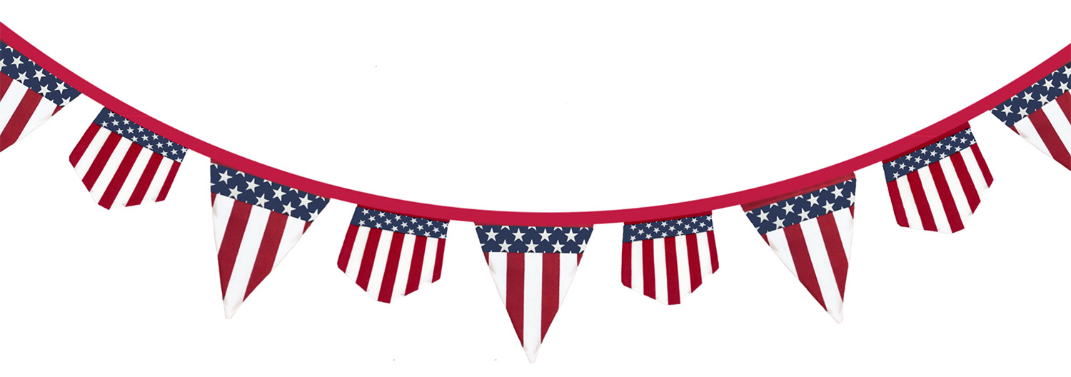 American Flag 2 Flag Banner