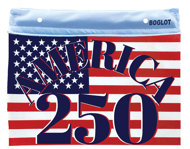 America 250 Flag - 6pk