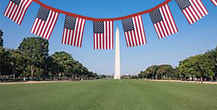 Fly the Symbol of Freedom